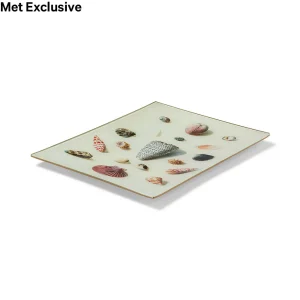 john-derian-shells-and-crustaceans-iii-decoupage-tray-2