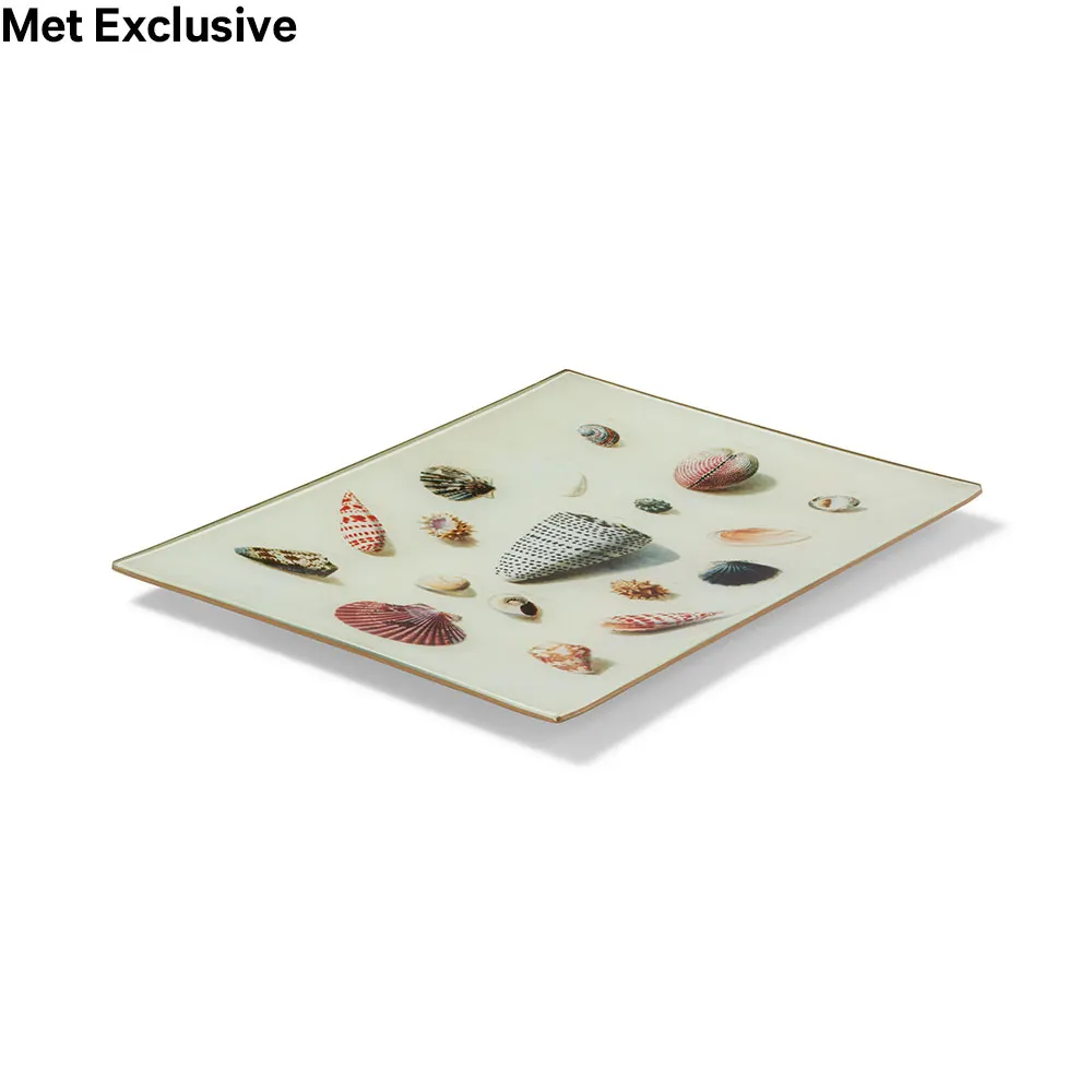 john-derian-shells-and-crustaceans-iii-decoupage-tray-2