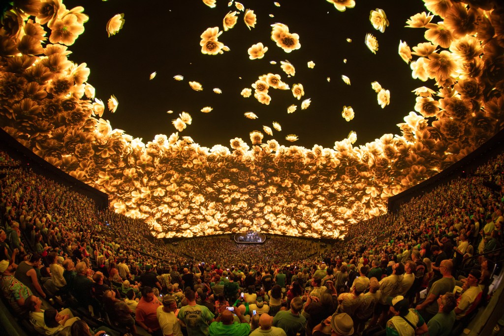 flowers falling on screen at Sphere
