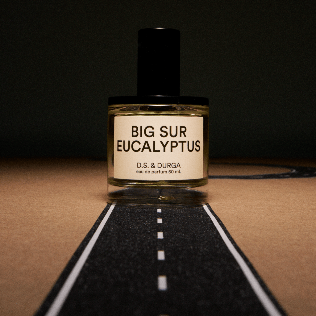 big-sur-eucalyptus_lifestyle_by-chelsie_square