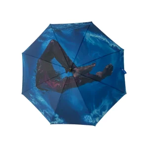 The top view of an umbrella featuring one of Calida Rawles water portraits