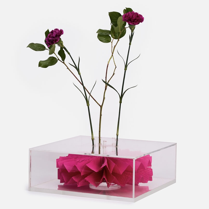 Lexus_collection_miami2025_reddymade