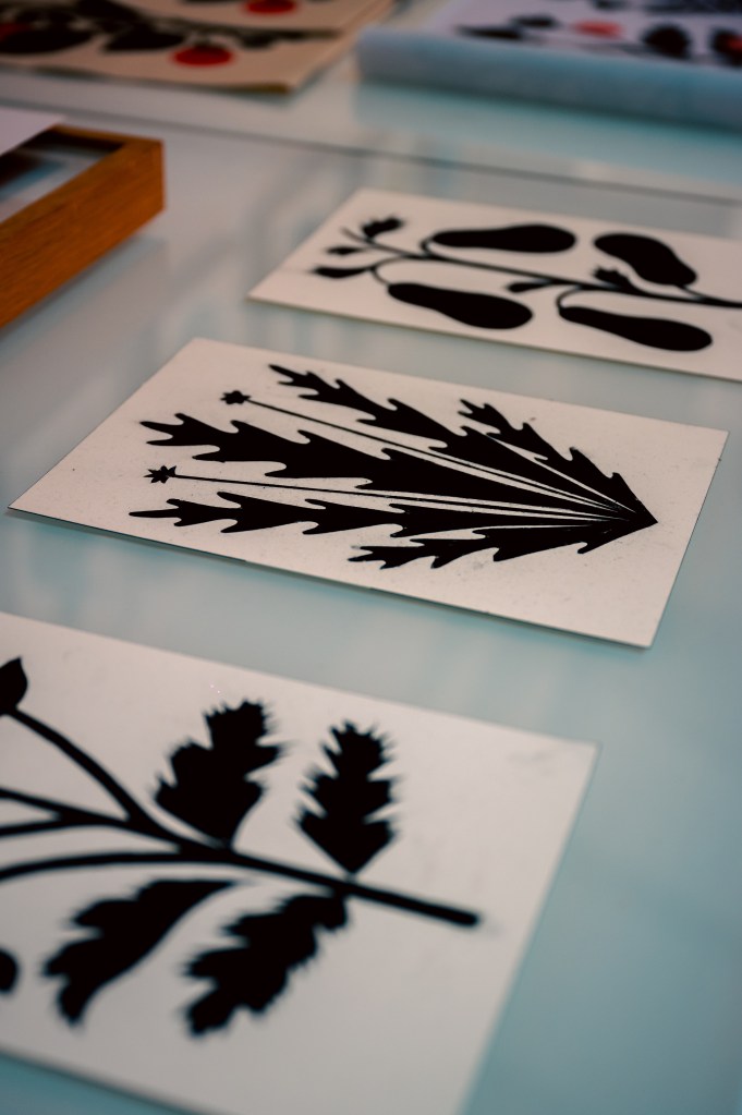 Olive tree elements painted by Agostino Iacurci