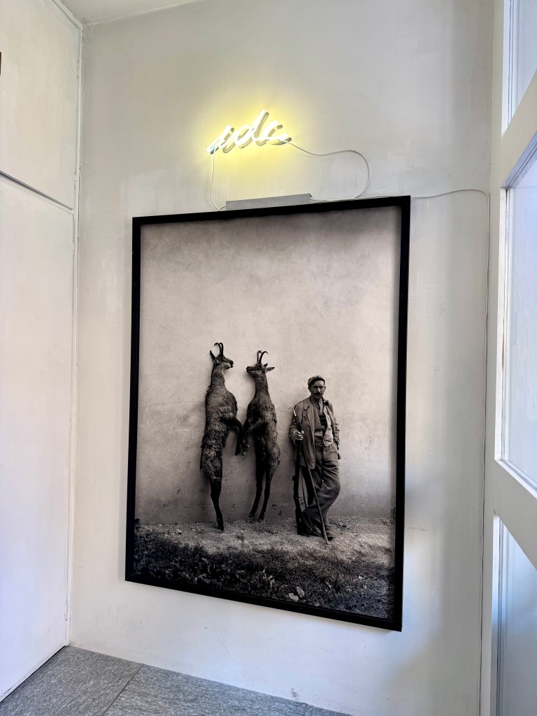 installation-view-of-brigitte-kowanz_s-idc-at-curuna-ardez