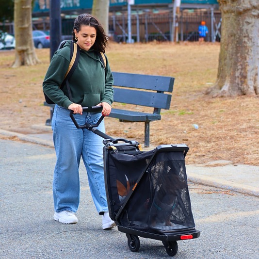 waggin_G1_woman_stroller