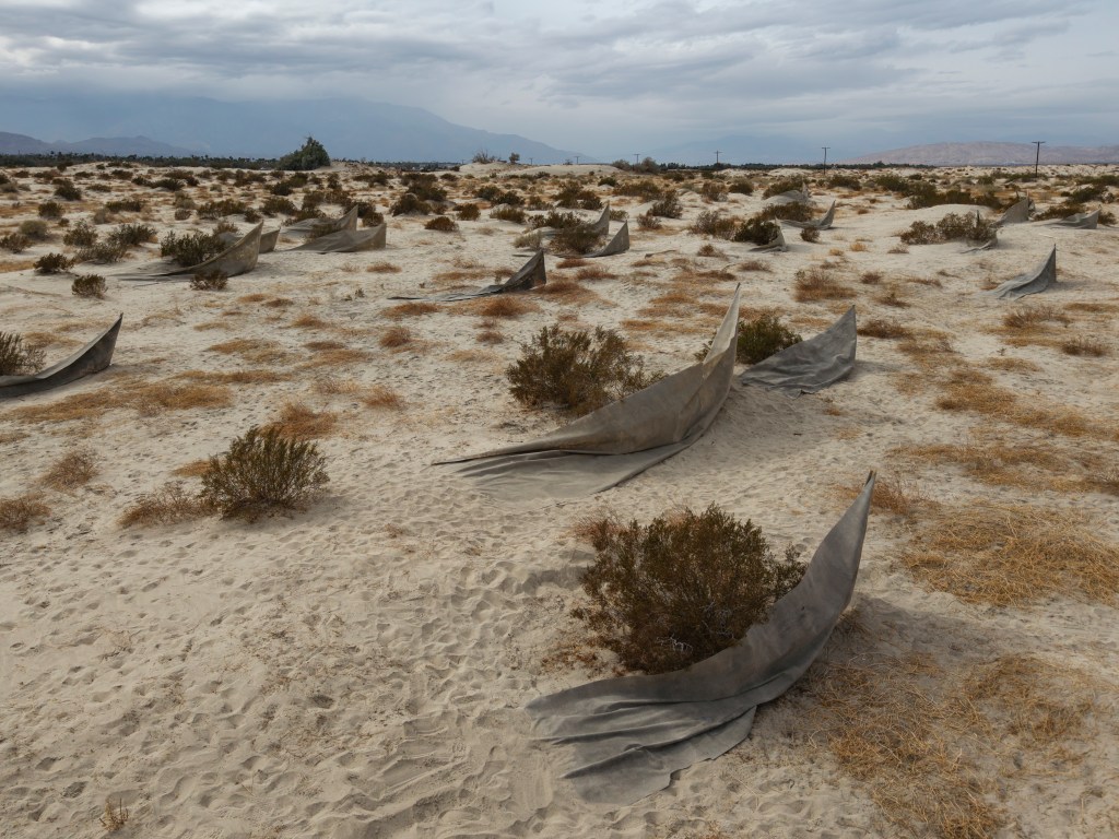Desert X 2025 installation view of Muhannad Shono, What Remains