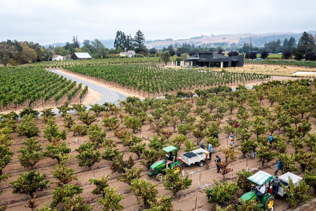 aperture-storybook-campaign-4