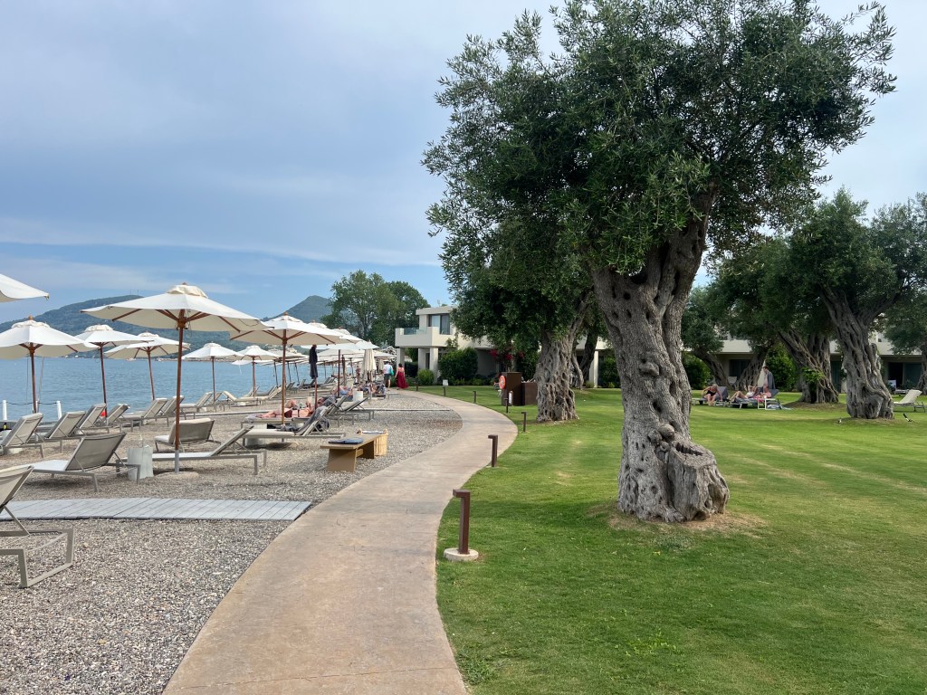 img_0059-giulio-mazzoleni