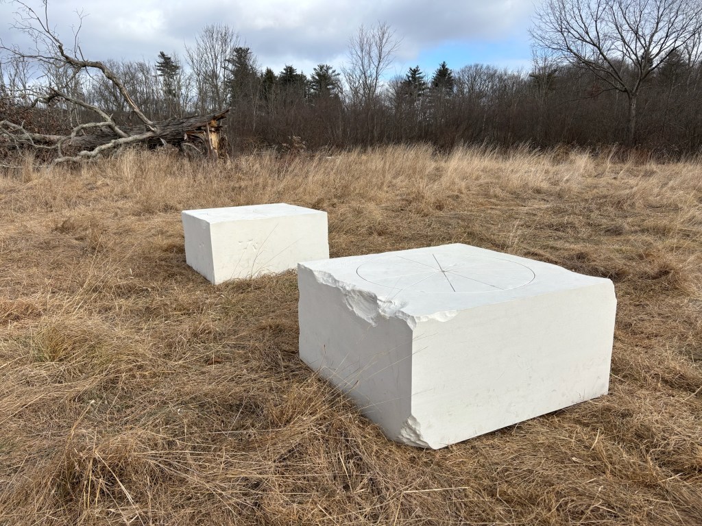 two white rectangular sculptures sitting on top of a dead grass field with trees in the background
