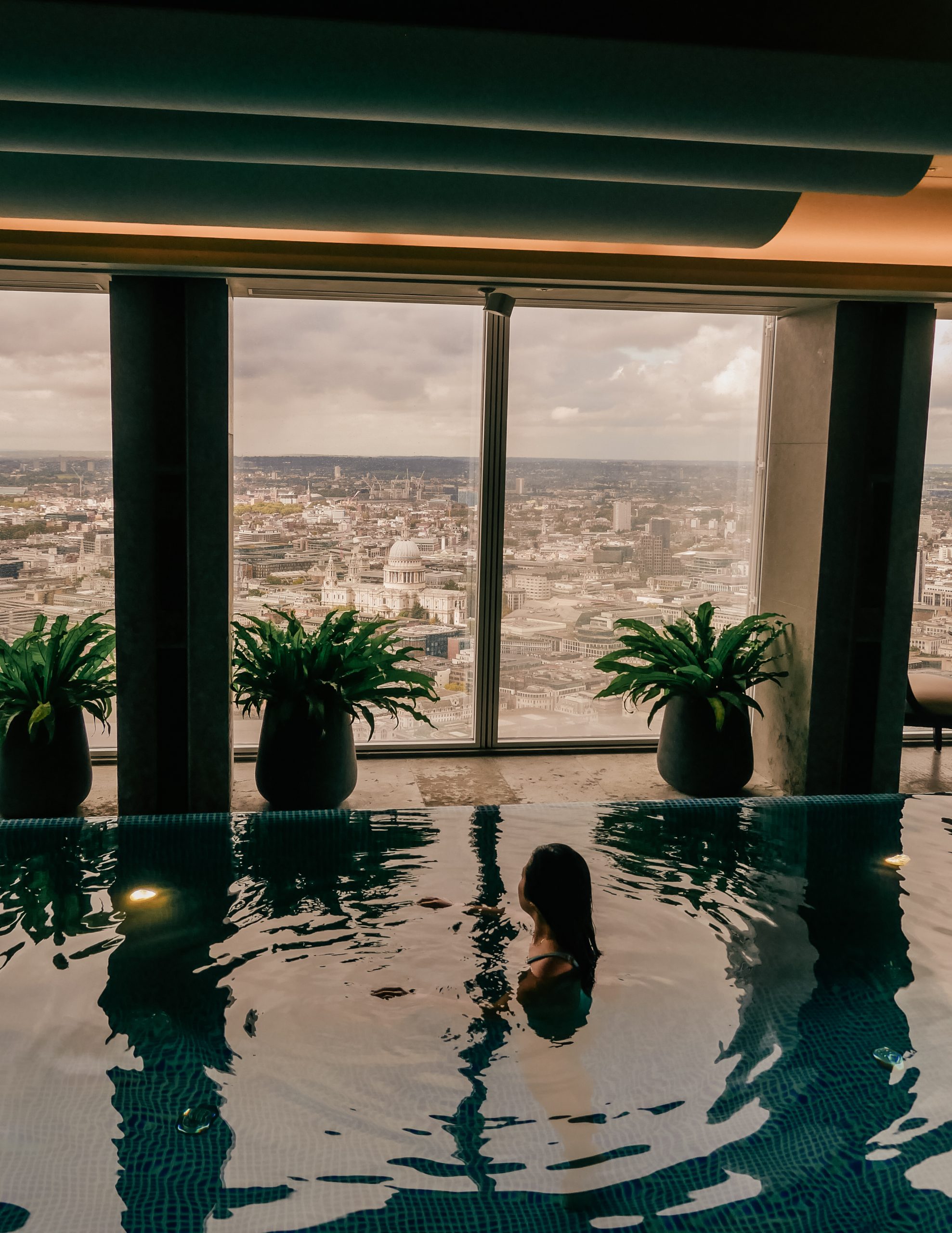 A swimming pool with one swimmer, three plants and a view of London's skyline.