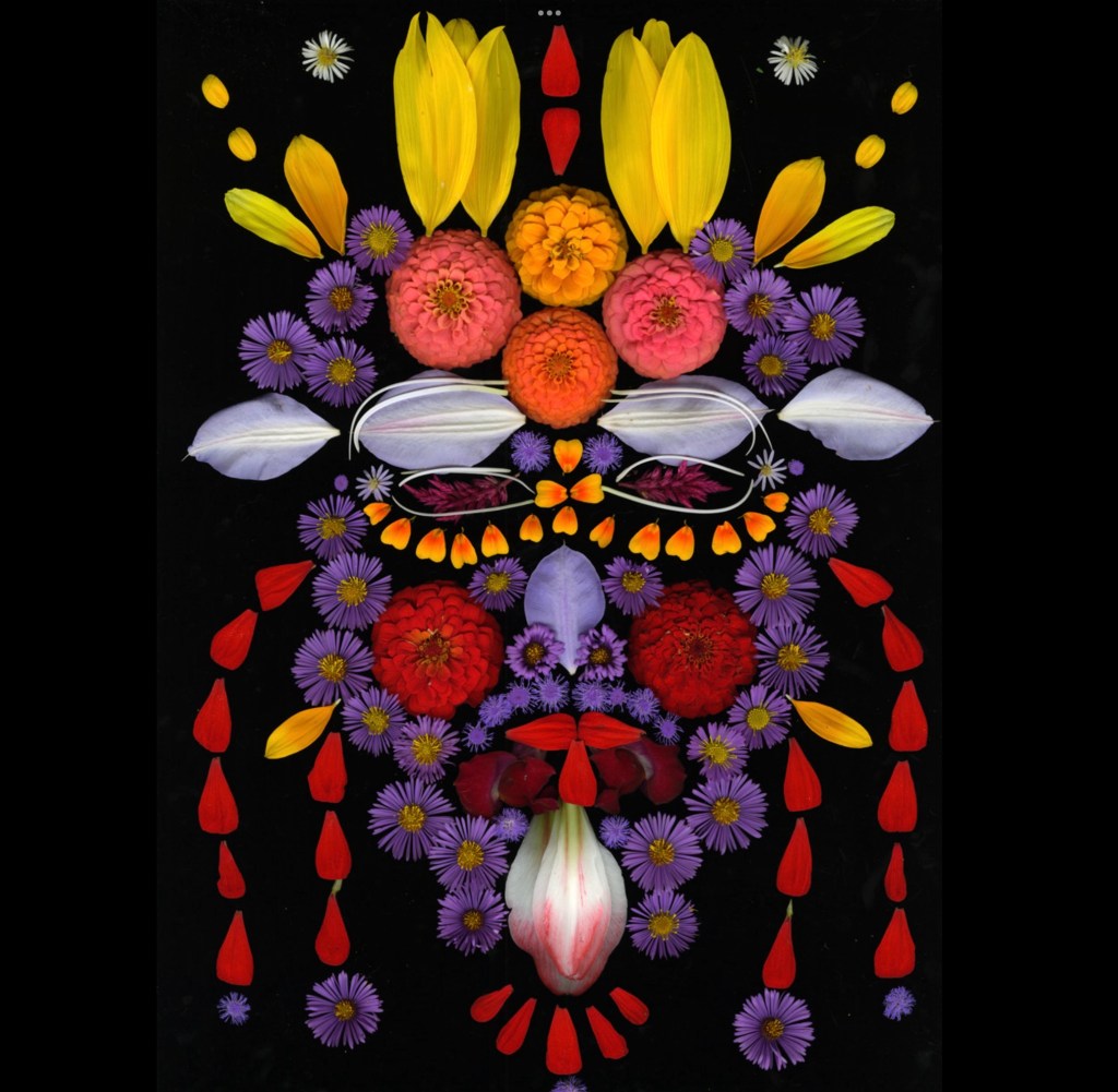 an artwork made from colorful flower petals arranged in the shape of a face on a black background