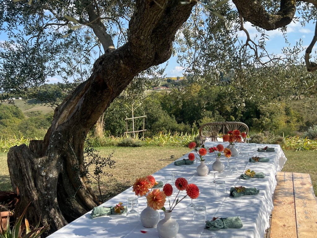A dining table set under an olive tree at Puscina Flowers.