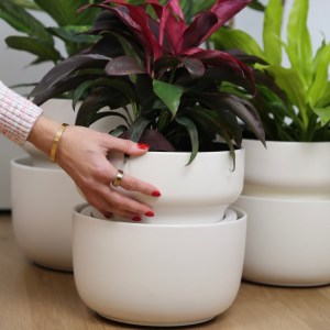 A trio of white Tendril planters with plants in them