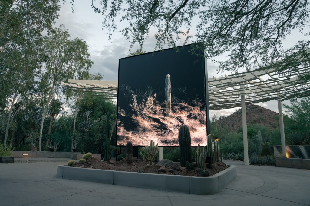 scanlabprojects_opening_elsewhen_3