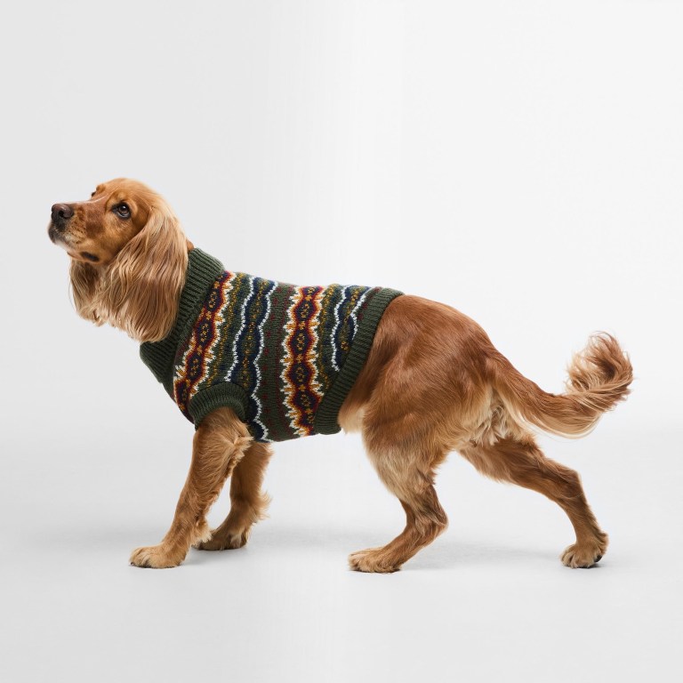 The Fair Isle dog set from Barbour shows the dog sweater, shown on a dog