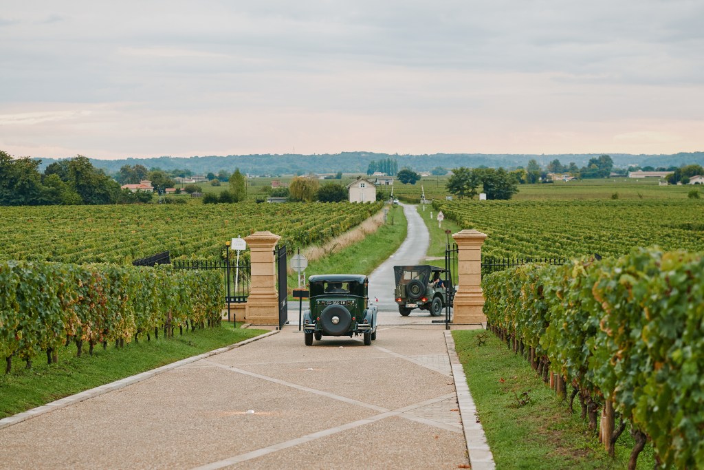 Two vintage automobiles exiting a stone driveway and turning onto a road with rows of vineyards.