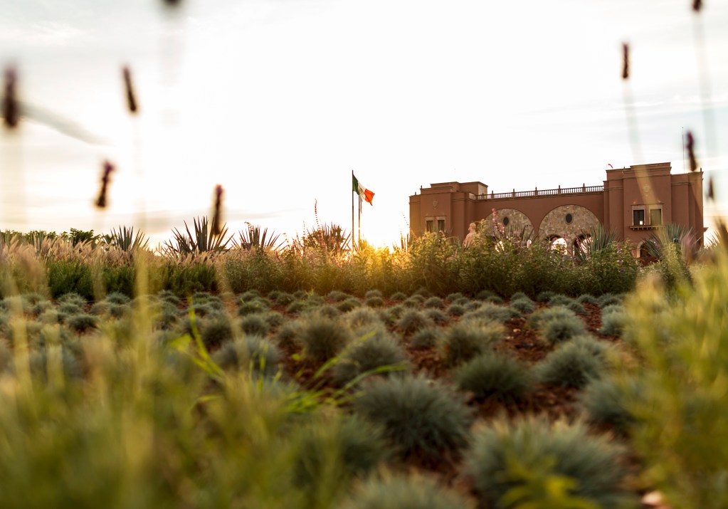 The entry gate to Hacienda Patron with a Mexican flag in front and a collection of low plants in the foreground.