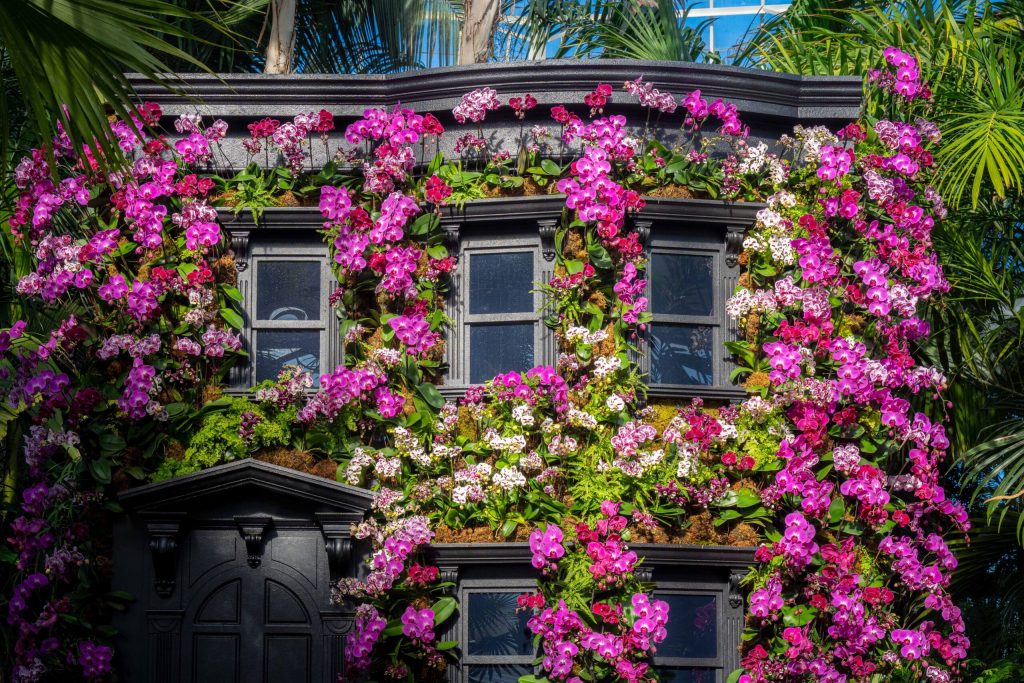 A dark gray mini brownstone building covered in fuschia orchid flowers.