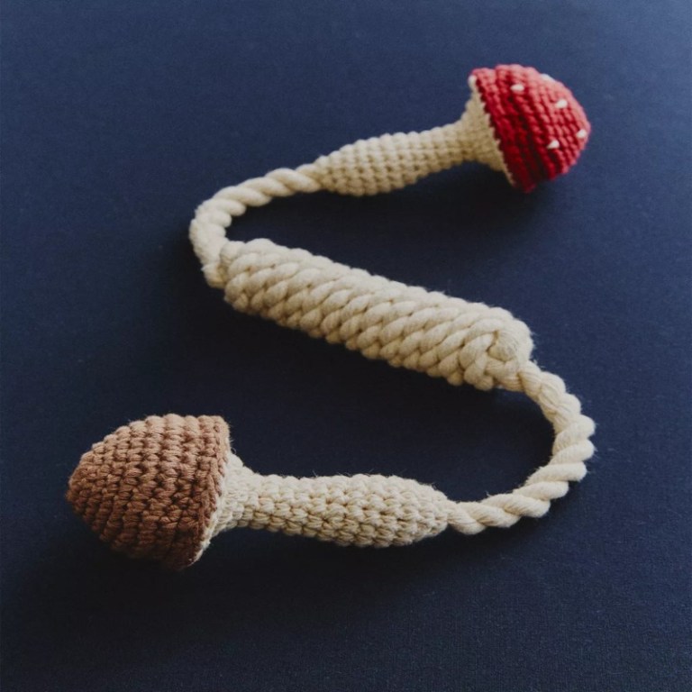 a knit pet toy with a brown mushroom on one end and a red one on the other