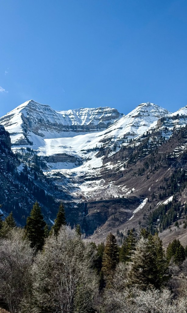 Mount Timpanogos on a sunny day with a blue sky and treeline on the bottom half of the frame. 