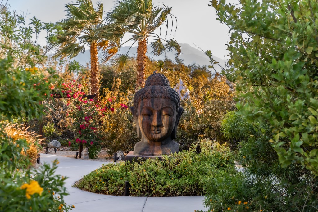 A desert garden with tall palm-like trees, a stone path that wraps around a large Buddha head sculpture and a mountain in the background.