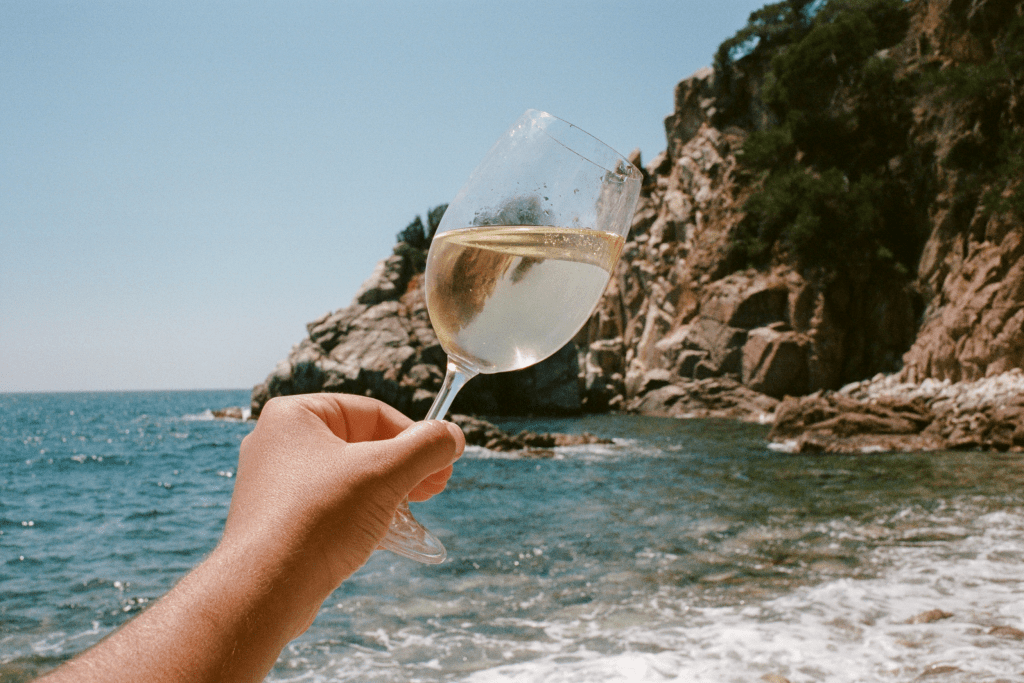 A hand holding a glass of Oddbird wine in front of the ocean and a cliff on a sunny day.