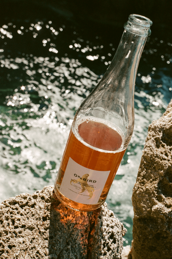 A bottle of Oddbird sparkling orange wine on a large rock surrounded by foamy, moving water.