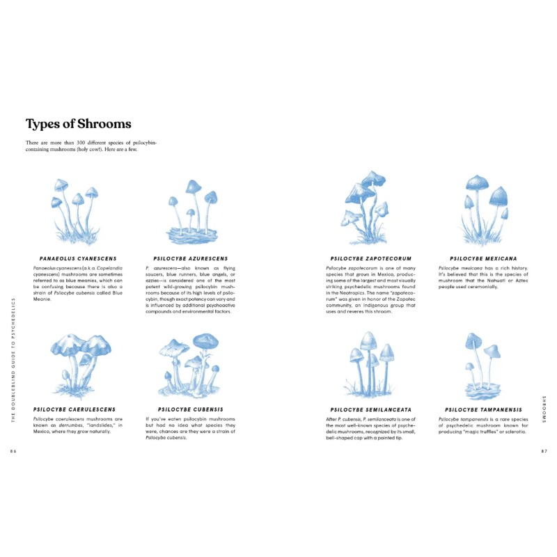 doubleblind_guide_to_psychedelics_types_of_shrooms