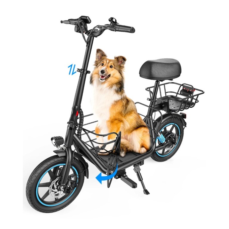 A Gyroor electric scooter with the lower basket and a dog sitting in it