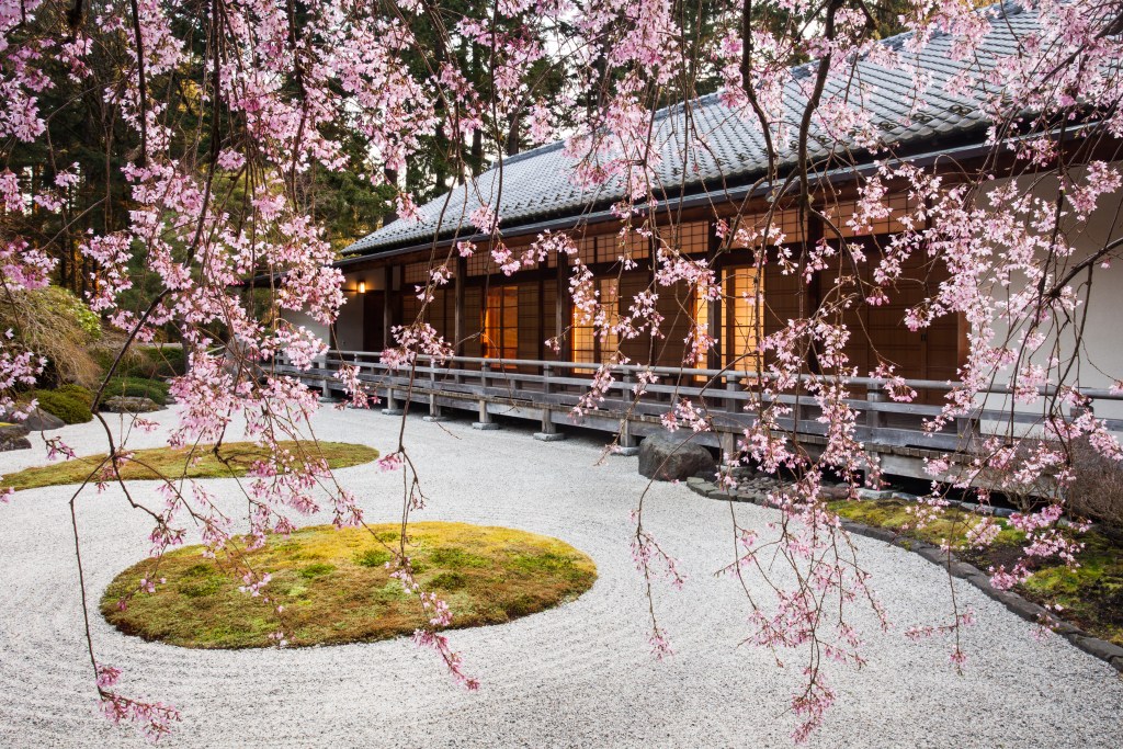 A flat garden and pavilion at Portland Japanese Garden with a weeping cherry willow in the foreground.