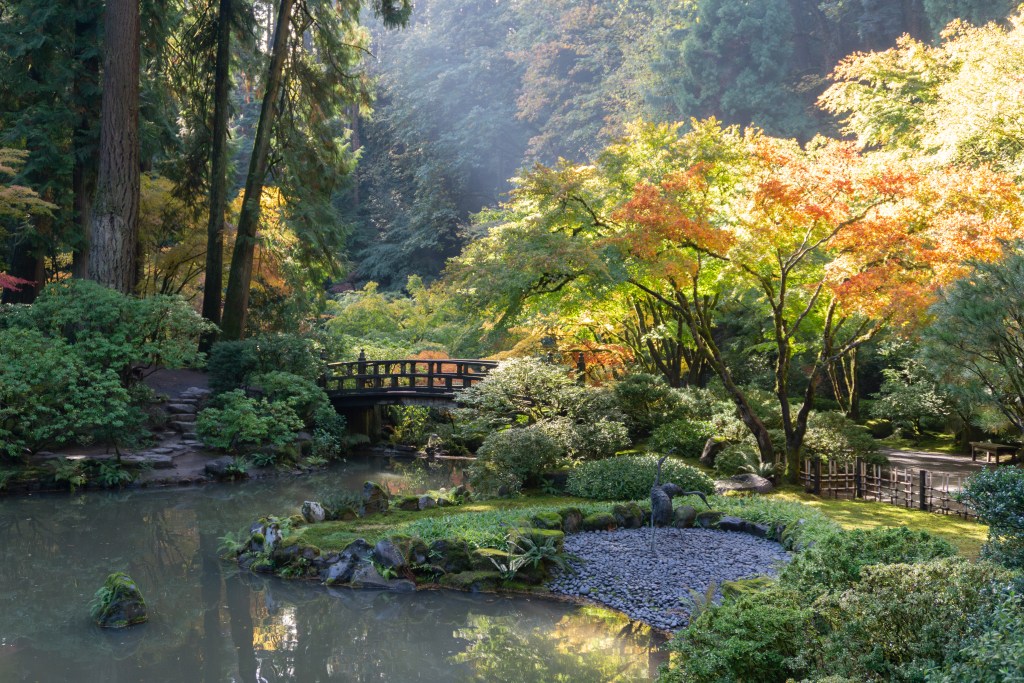 An autumn view of the Strolling Pond Garden at the Portland Japanese Garden.