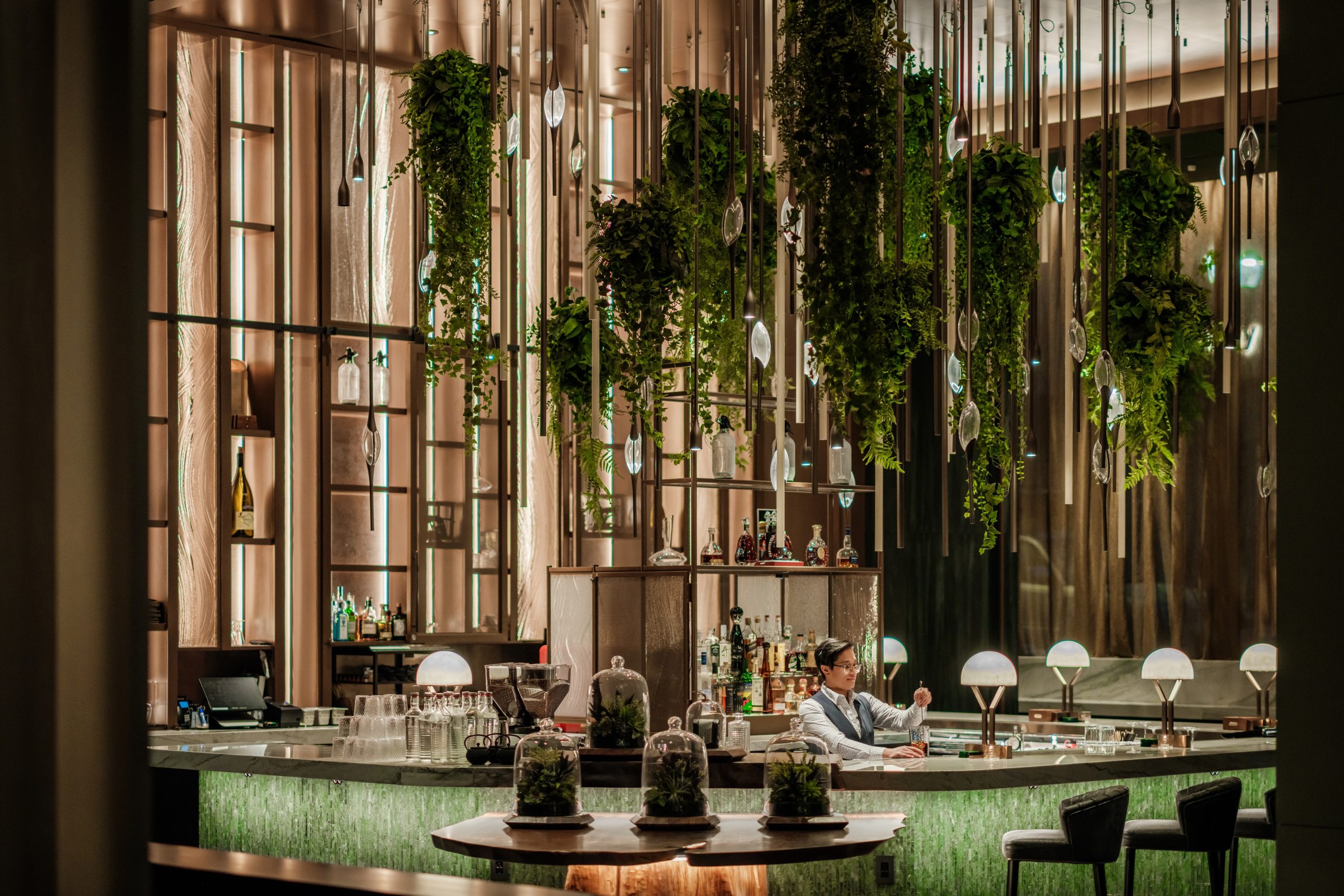The bar at Meadowrue with long green plants hanging down and a bartender making a drink.