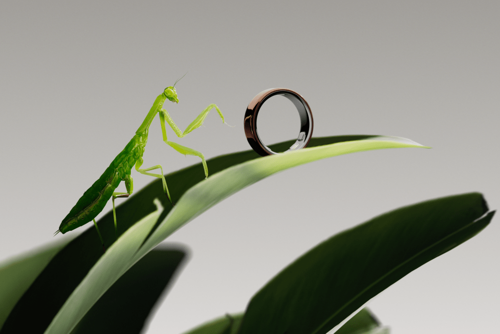 oura_ring_5_nature_praying-mantis