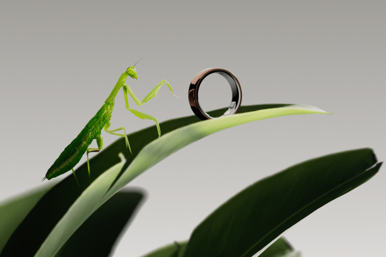 Oura Ring 5 Disappears Into the Hand