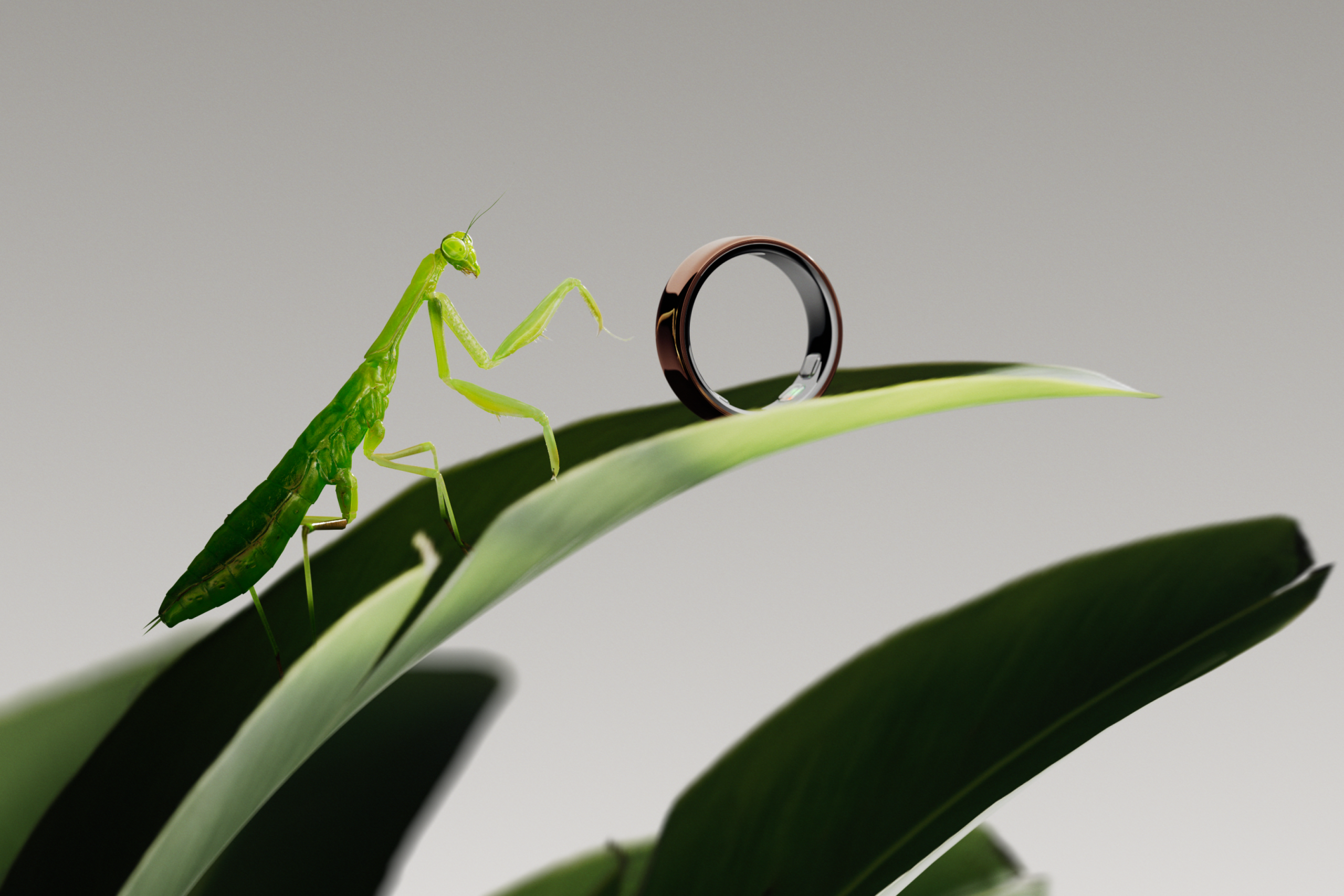 Oura 5 Disappears Into the Hand - COOL HUNTING®