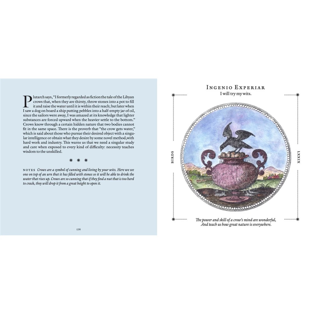 Symbolorum_by_Mandy_Aftel_spread176
