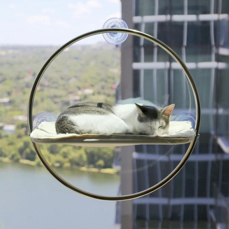 A cat rests in Catenary's Orbit Window Hammock attached to a window