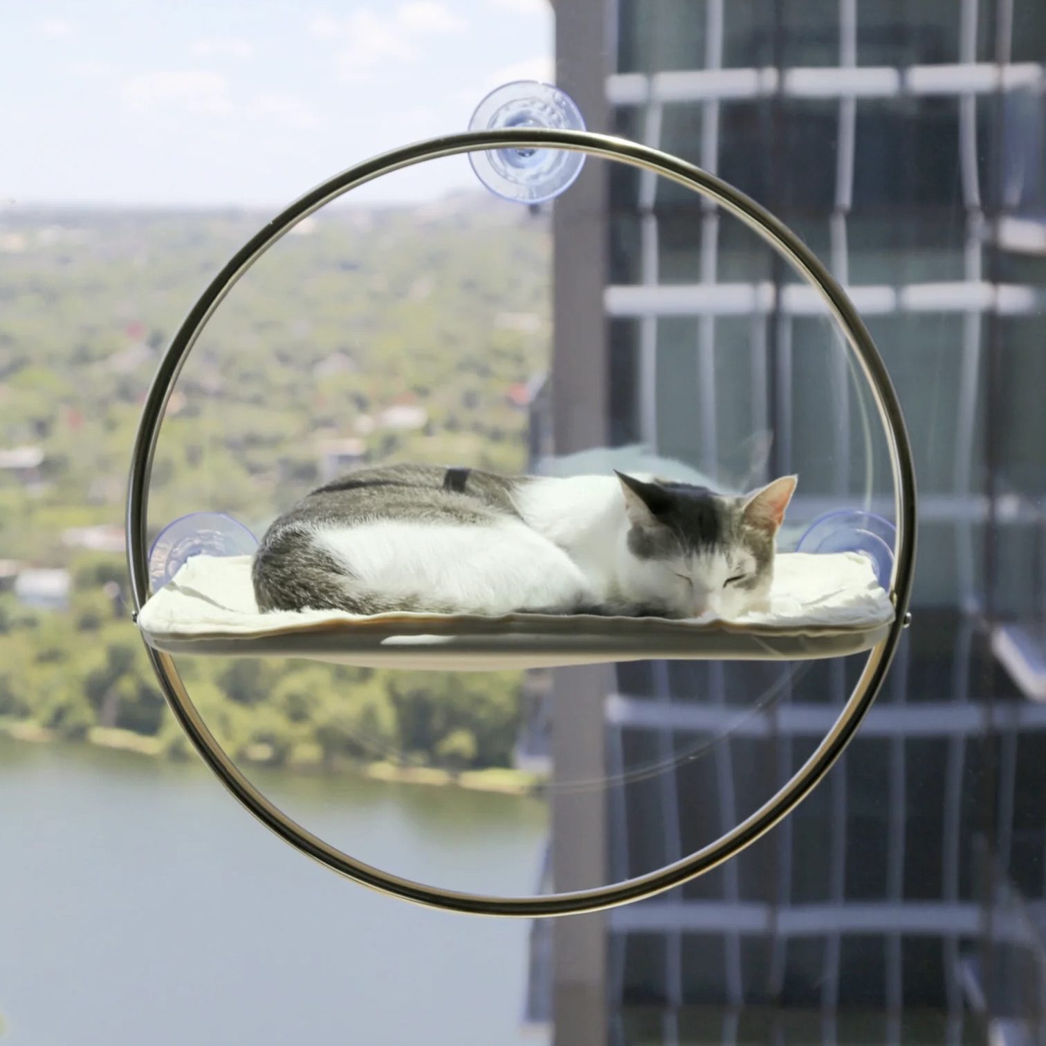 Orbit Window Hammock for Cats
