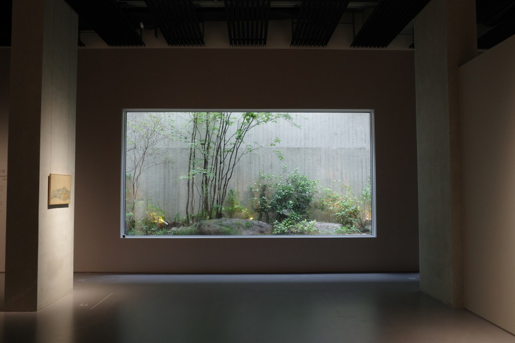 A large horizontal window in a dark room looks out to a small outdoor garden with greenery and trees.