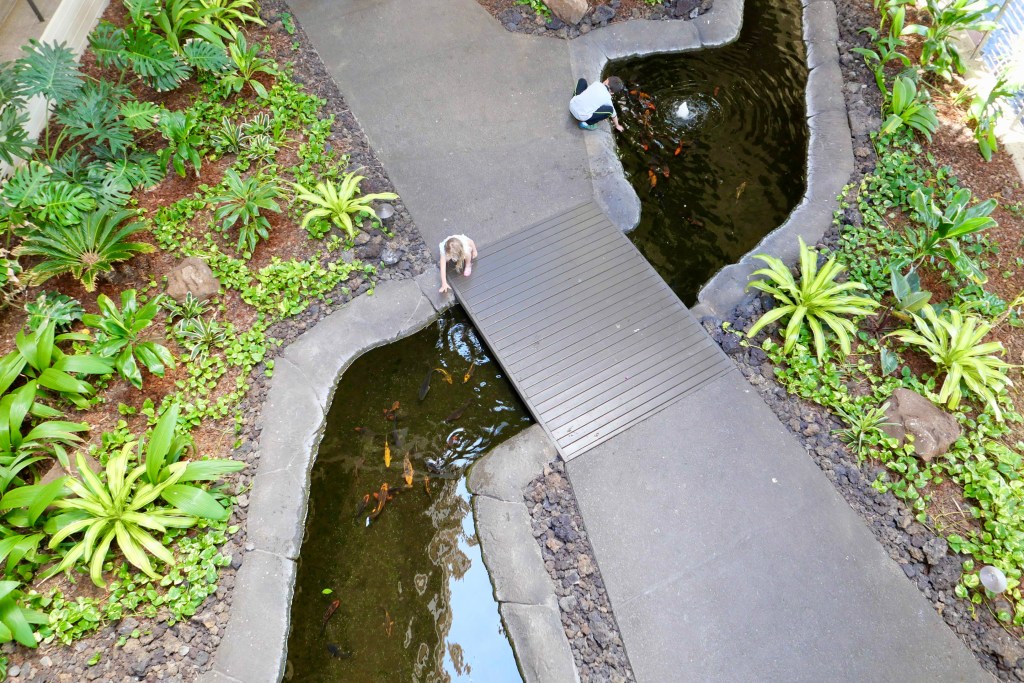 An overhead shot of a pong with a concrete bridge intersecting it with two children crouching over the water to feed koi fish.