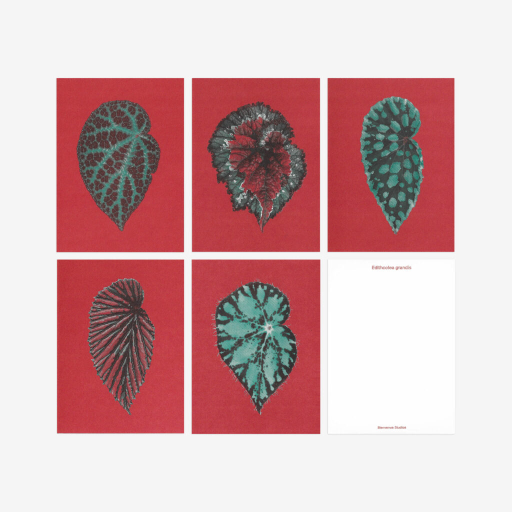 bienvenue-studios_small-print-collection_leaves-of-friendship-3-1024x1024