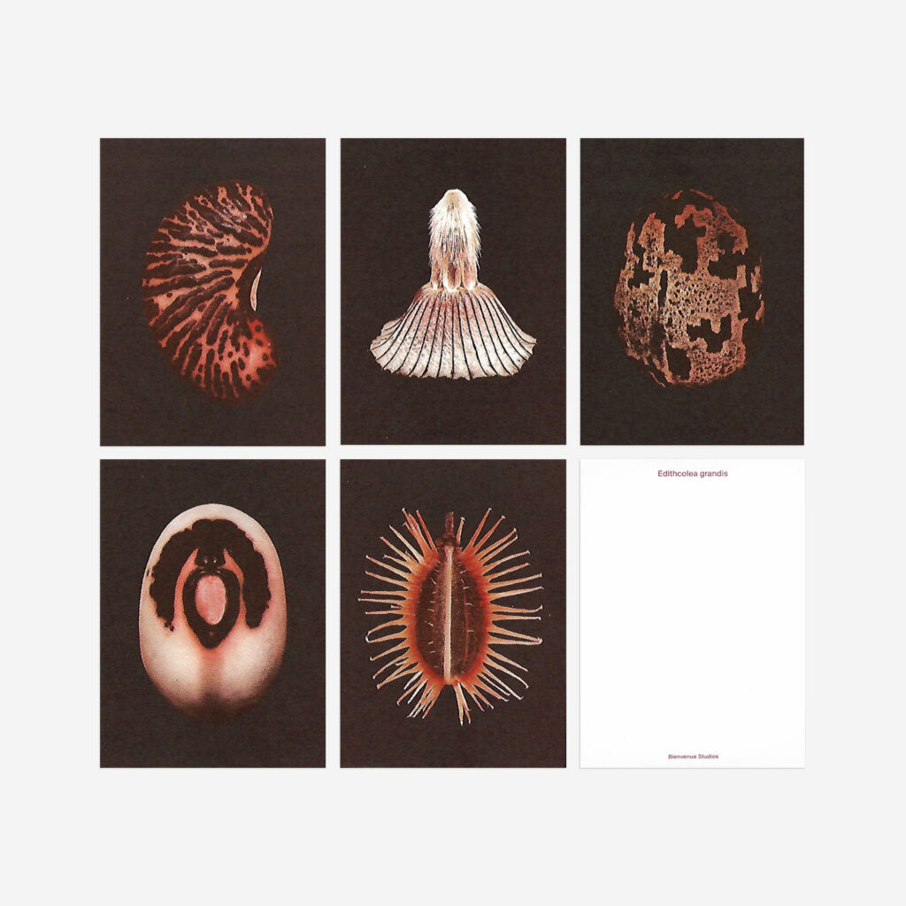 bienvenue-studios_small-print-collection_origins-3-1024x1024