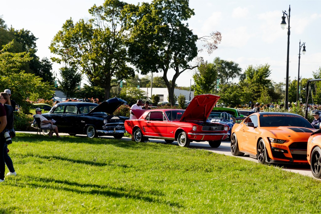 A row of colorful cars with their hoods open, parked by a green patch of grass.