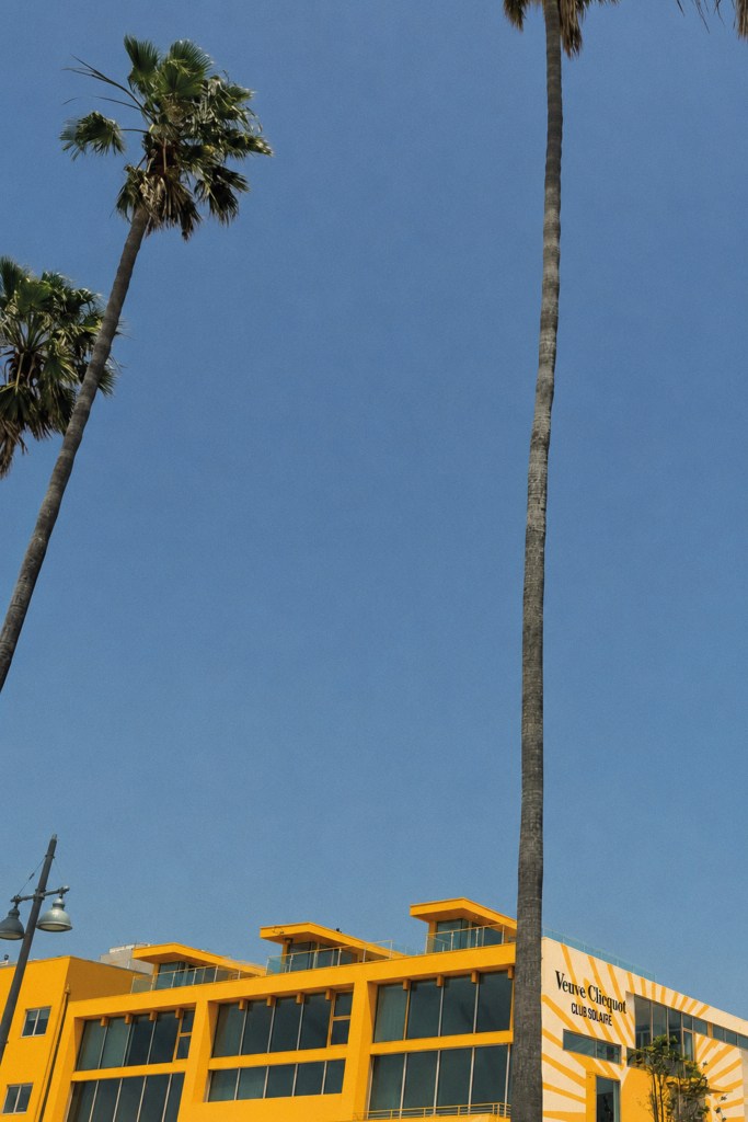 An image of a blue Venice Beach sky with a few tall palm trees and the yellow Club Solaire building at the bottom of the frame.