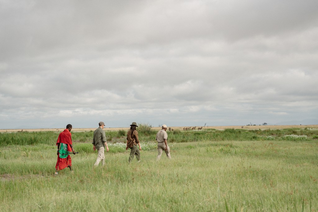 One Maasai man, two hotel guests and a nature guide walking through tall green grasses with a cloudy sky above.