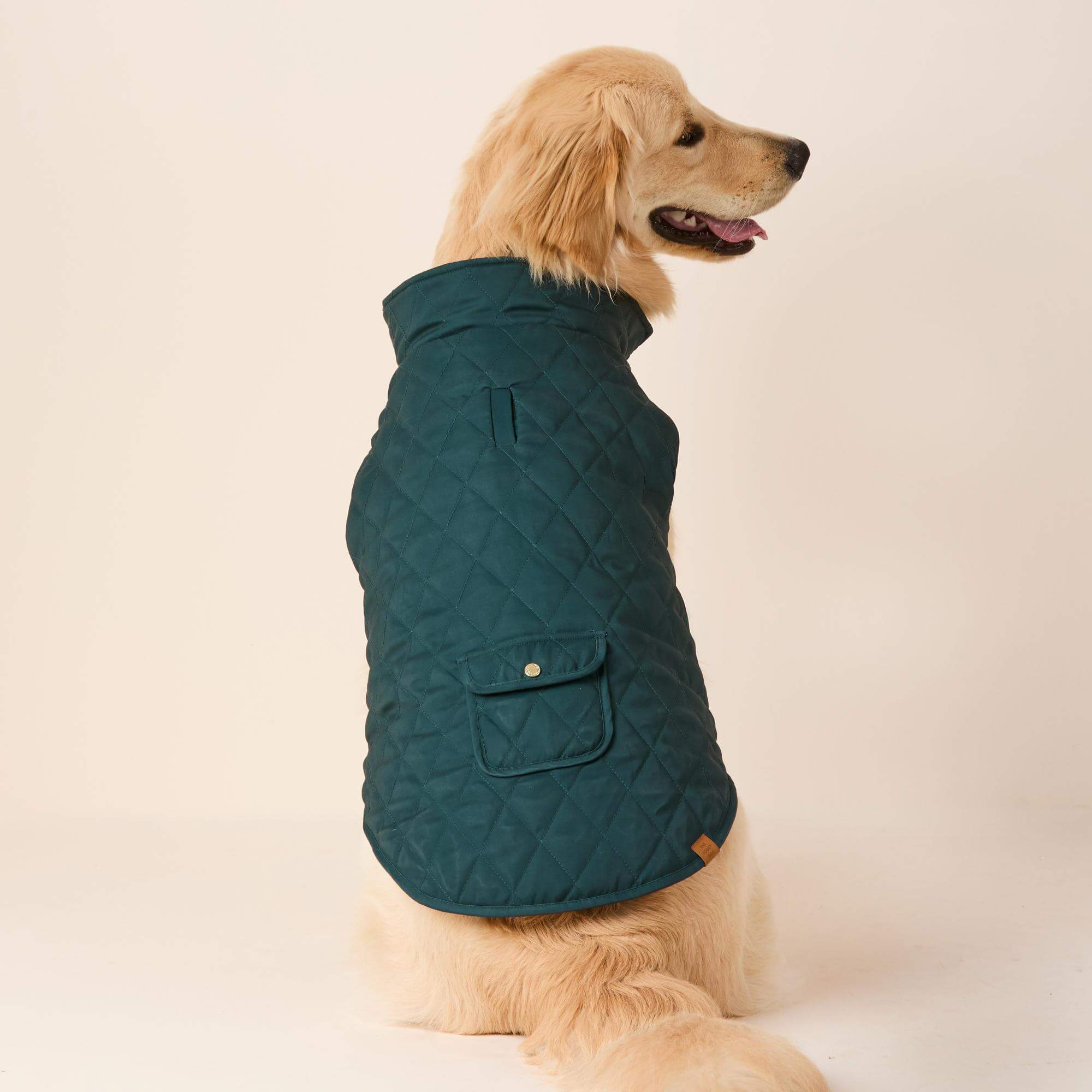 BlackwatchPlaid_Jfoggydog