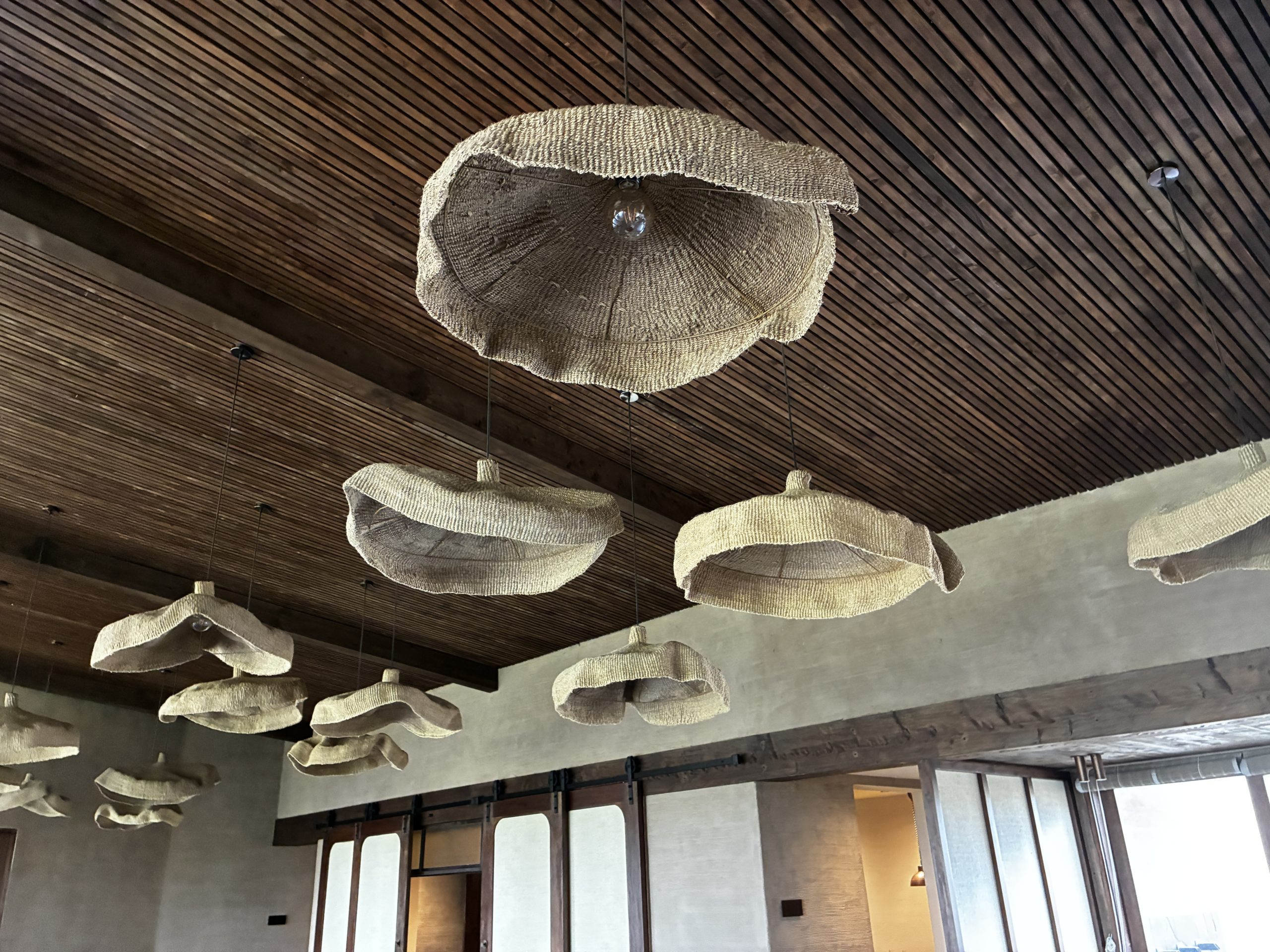 A look up at a wood paneled ceiling with sculptural sisal light fixtures hanging from it.